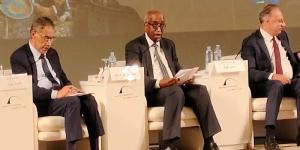 نائب وزير الخارجية للشؤون الأفريقية: تمكين الأجيال الجديدة من الوعي والتمييز ضرورة للحفاظ على الهوية المصرية - تواصل نيوز