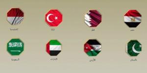 اجتماع ثماني في نيويورك.. مصر و7 دول تدعو للالتزام بوقف إطلاق النار بغزة - تواصل نيوز