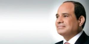 الرئيس السيسى يهنئ مالى وجواتيمالا بذكرى يوم الاستقلال - تواصل نيوز