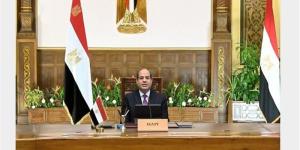 السيسي يستقبل وزير دفاع قبرص ويؤكد ضرورة تعميق الشراكة الاستراتيجية بين البلدين - تواصل نيوز