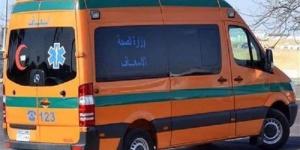 لم تنقذها الصرخات، تفاصيل مقتل فتاة داخل الزراعات في شبين القناطر - تواصل نيوز