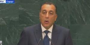 رئيس الوزراء بالأمم المتحدة: مصر لا تقف ضد حق أى شعب فى التنمية - تواصل نيوز