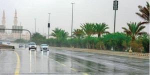 الباحة.. أمطار وصواعق رعدية ورياح شديدة حتى 8 مساءً - تواصل نيوز