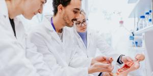 تقنية جديدة تكشف الخلايا الشائخة داخل الأنسجة دون إتلافها - تواصل نيوز