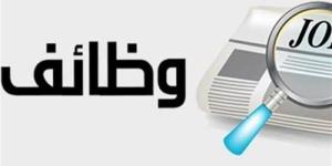 وظائف وزارة العمل 2026.. فرص جديدة في 12 محافظة عبر 43 شركة - تواصل نيوز
