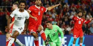 ويلز تهزم النرويج 2-1 وتشعل صراع المركز الثاني في دوري الأمم الأوروبية (صور) - تواصل نيوز