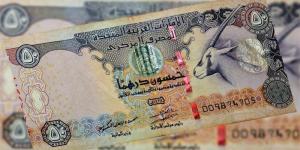 سعر الدرهم الإماراتي أمام الجنيه في بنك مصر - تواصل نيوز