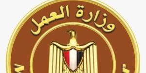 وزارة العمل تعلن عن فرص عمل بالقاهرة برواتب تصل 25 ألف جنيه - تواصل نيوز