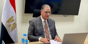 نائب وزير الخارجية يعقد لقاء افتراضيا مع الجاليات المصرية بأمريكا اللاتينية - تواصل نيوز