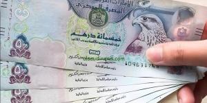 سعر الدرهم الإماراتي مقابل الجنيه في البنوك المصرية (آخر تحديث) - تواصل نيوز
