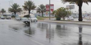 «التعليم»: الأمطار الغزيرة والرياح الشديدة تتصدر معايير تعليق الدراسة الحضورية - تواصل نيوز