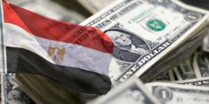 البنك الدولي: الدين الخارجي لمصر يرتفع إلى 166.45 مليار دولار - تواصل نيوز