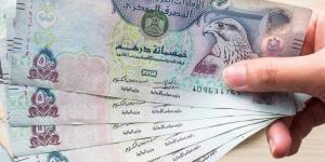سعر الدرهم الإماراتي مقابل الجنيه اليوم.. الأحد 18 أكتوبر 2026 - تواصل نيوز