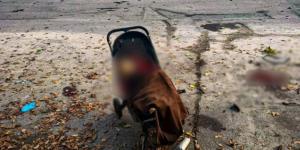 6 قتلى و14 مصابًا في هجوم روسي على متنزه شمال شرقي أوكرانيا - تواصل نيوز