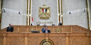نائب بالشيوخ: مواجهة الشائعات تبدأ ببناء الوعي وتكامل دور المؤسسات - تواصل نيوز