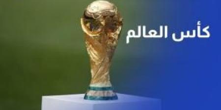 بالفيديو .. كيف يمكن للأردنيين التقدم لتأشيرة حضور كأس العالم في أمريكا؟ - تواصل نيوز