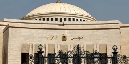 تعديلات تشريعية جديدة.. الدولة تعزز التمثيل النيابي للشباب والمرأة وذوي الهمم - تواصل نيوز