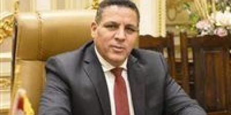 أحمد محسن: 30 يونيو ستظل شاهدة على وعي الشعب المصري وإصراره على حماية هويته الوطنية - تواصل نيوز