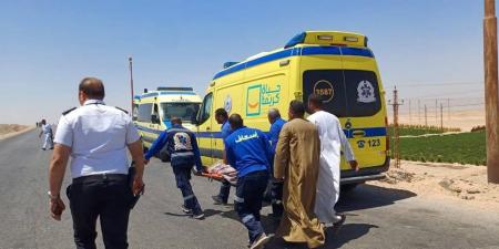 "صرخات على الأسفلت"أهالي سمالوط يستغيثون بالمحافظ كفى نزيفًا - تواصل نيوز