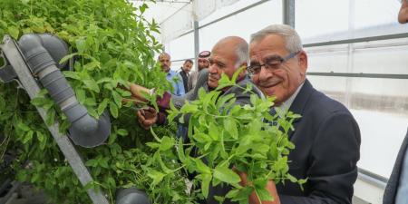 احنا بتوع الجديد - الجامعة الهاشمية تنجز مشروع الزراعة المائية الذكية دعماً للبحث العلمي التطبيقي وخدمةً للأمن الغذائي الوطني - تواصل نيوز