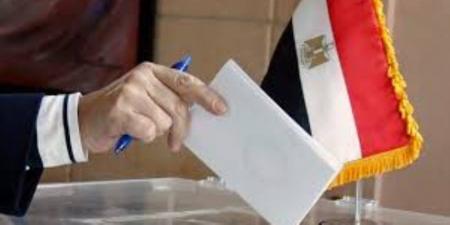 ننشر أسماء المرشحين على القائمة الوطنية فى غرب الدلتا بانتخابات مجلس النواب - تواصل نيوز