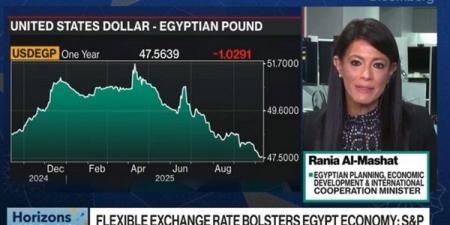 المشاط: صمود السلام يعزز التجارة العالمية ويعيد الملاحة لطبيعتها بقناة السويس - تواصل نيوز