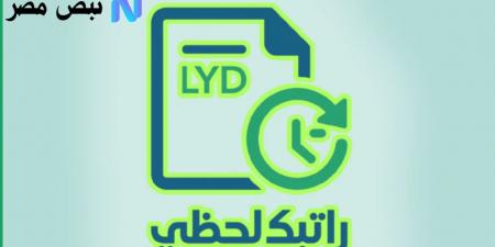 رابط منظومة راتبك لحظي 2025: الدخول السريع للاستعلام عن المرتب والخدمات الحكومية بسهولة - تواصل نيوز