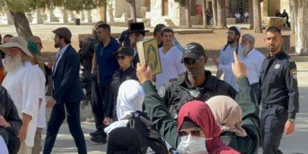 شاهد بالفيديو.. بن غفير يقتحم المسجد الأقصى تحت حماية الشرطة الإسرائيلية - تواصل نيوز