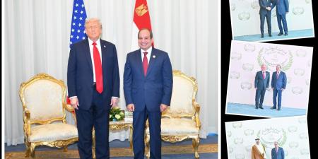 خبراء ومستثمرو السياحة: قمة السلام رسالة قوية .. بالريادة المصرية - تواصل نيوز