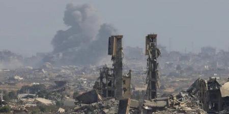عضو هيئة العمل الأهلي الفلسطيني: الحديث عن مستقبل قطاع غزة لا يمكن أن يتم دون ضمان - تواصل نيوز