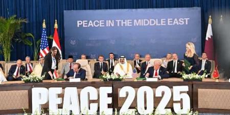 نجم الزمالك السابق: قمة السلام في شرم الشيخ يوم عظيم لمصر - تواصل نيوز