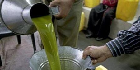 محافظة الجيزة: ضبط أكثر من 200 طن زيوت سيارات وأسمدة مغشوشة فى مركز الصف - تواصل نيوز