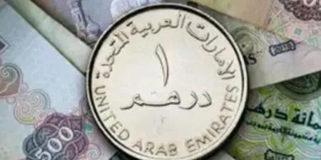 سعر الدرهم الإماراتي مقابل الجنيه المصري اليوم الأربعاء 15 أكتوبر 2025 - تواصل نيوز