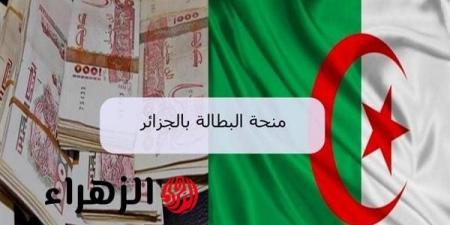 هل أنت مؤهل؟ إليك شروط ورابط تسجيل منحة البطالة 2025 في الجزائر - تواصل نيوز