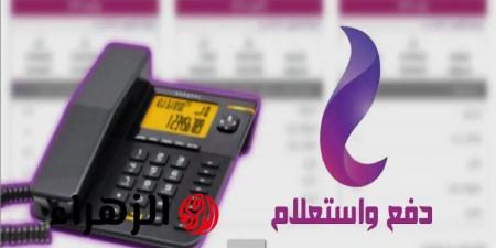 استعلم عن فاتورة التليفون الأرضي 2025 بطرق دفع مريحة! - تواصل نيوز
