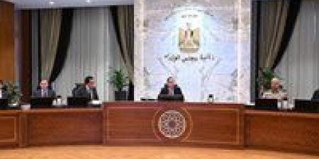 مجلس الوزراء يوافق على إنشاء ميناء جاف بمنطقة العامرية بمحافظة الإسكندرية - تواصل نيوز