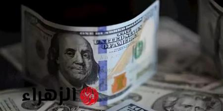 كيف تراجع سعر الدولار أمام الجنيه المصري في 15 أكتوبر؟ - تواصل نيوز
