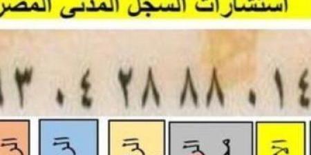 كشف الأسرار: ماذا تعني 14 رقمًا في بطاقة الرقم القومي؟ - تواصل نيوز