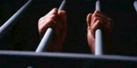 كيان وهمي.. حبس المتهم بالنصب والاحتيال على المواطنين بمدينة نصر - صحيفة تواصل