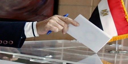 انتخابات النواب 2025.. أسماء مرشحي القائمة الوطنية في القاهرة والقليوبية - صحيفة تواصل