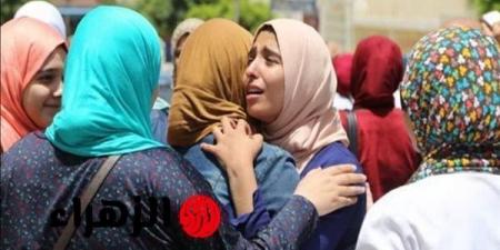 ما هو مفرد “بطاطا”؟ اكتشف الإجابة المثيرة هنا! - صحيفة تواصل