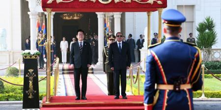 مصر وكوريا تسعيان إلى تعزيز العلاقات فى مجال الصناعات الدفاعية - تواصل نيوز