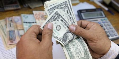 قبل قرار البنك المركزي.. سعر الدولار اليوم الخميس 20 نوفمبر 2025 فى البنوك - تواصل نيوز