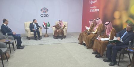 لقاء وزير الخارجية مع نظيره السعودي على هامش أعمال قمة مجموعة العشرين بجوهانسبرج - تواصل نيوز