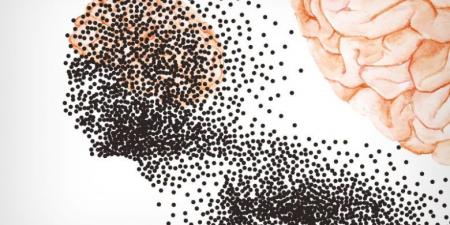 تفكيك الوعي: كيف تنزلق الدولة الوطنية نحو الهشاشة في زمن الفوضى الرقمية؟ #عاجل - تواصل نيوز