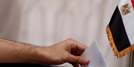 بعد ساعات.. انطلاق التصويت «بالداخل» في المرحلة الثانية لانتخابات «النواب» 2025 - تواصل نيوز