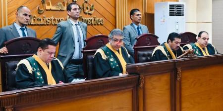 محكمة الجنايات تقضى بإعدام الأب المتهم بالاعتداء على ابنته فى المنوفية - تواصل نيوز