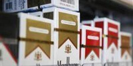 رسمياً.. أسعار السجائر اليوم بعد آخر زيادة.. عبوة واحدة بـ44 جنيهًا وضوابط صارمة للسوق - تواصل نيوز