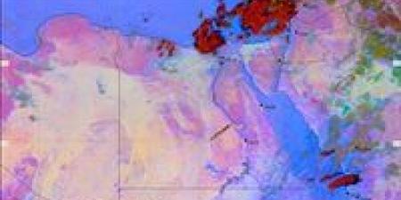 الطقس غدا ..انخفاض حاد في درجة الحرارة وأمطار رعدية تضرب عدة محافظات - تواصل نيوز