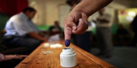 اليوم.. المصريون بالداخل يصوتون بالمرحلة الثانية بانتخابات النواب فى 13 محافظة - تواصل نيوز